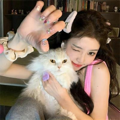 大猫竞技